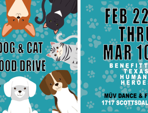Dog and Cat Food Drive